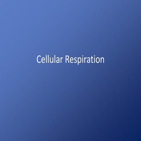 Cellular respiration updated