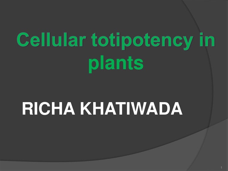 Cellular Totipotency In Plants
