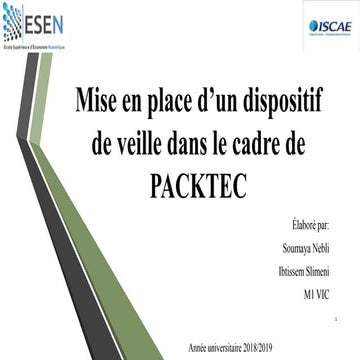 Mise en place d'un dispositif de veille dans le cadre PACKTEK | PPTX