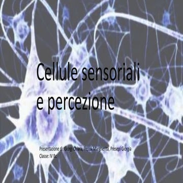 Cellule sensoriali e percezione stimoli_Giorgi_Pepoli_Presepi_4Bc