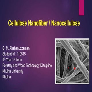 Cellulose nanofiber