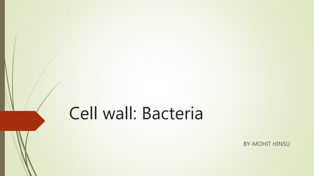 Cell wall:Bacteria