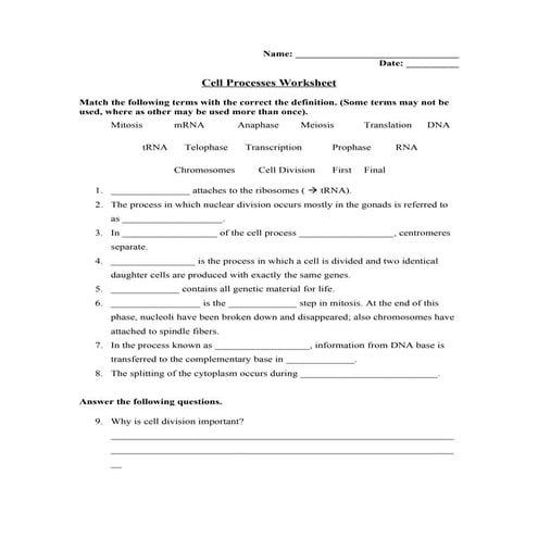Cell Processes Worksheet Chapter 11 Review Interactive E Worksheet