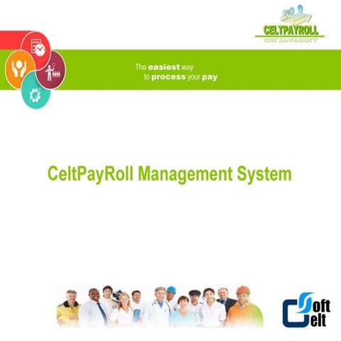SAP Payroll management system Software