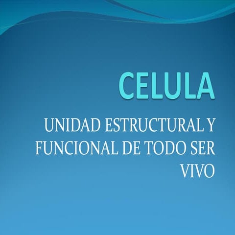 Celula