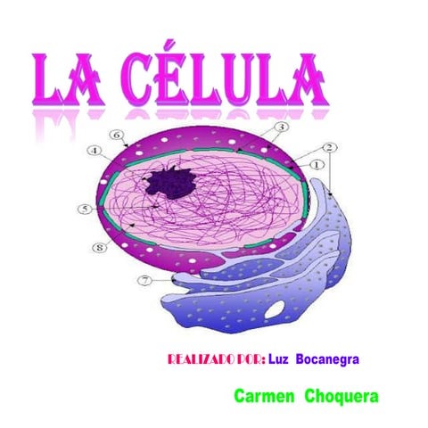 La celula vegetal | PPT