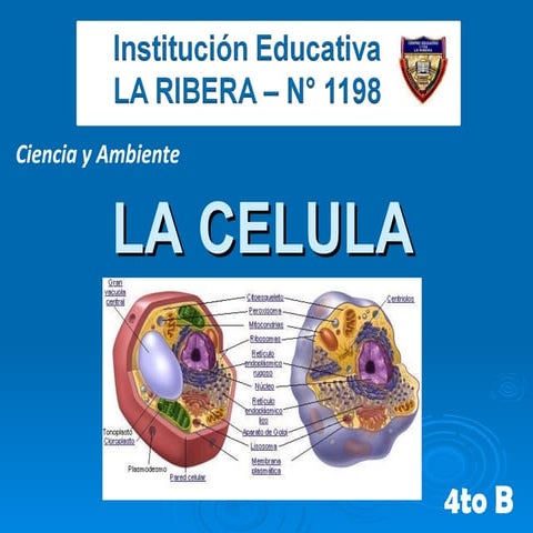 Celula. Primaria. IE N°1198 La Ribera. Aula de Innovación Pedagógica 