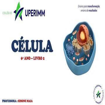 CELULA 6 ANO_23_ UP.pdf