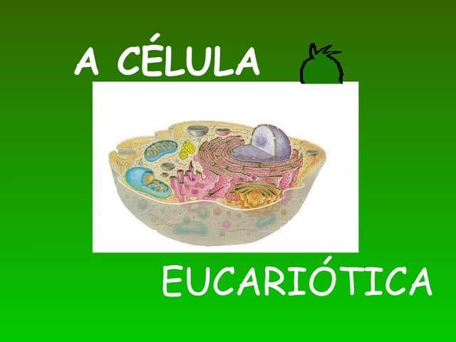 Celula eucariotica