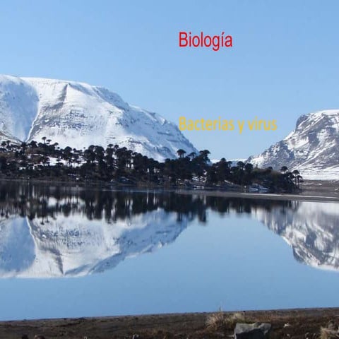 celula procariota forma y mov. Bacterias y Virus.pptx