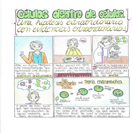 Células dentro de células. Una hipótesis extraordinaria, con evidencias ext...