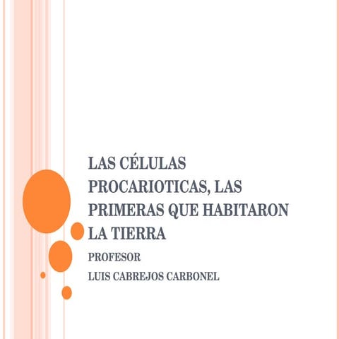 Celulas Procariontes