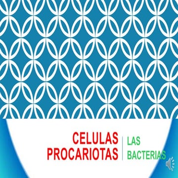 Celulas procariotas 4