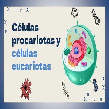 Celulas procariotas y eucariotas.pptx