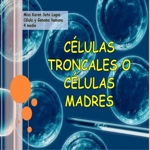 Células troncales o células madres