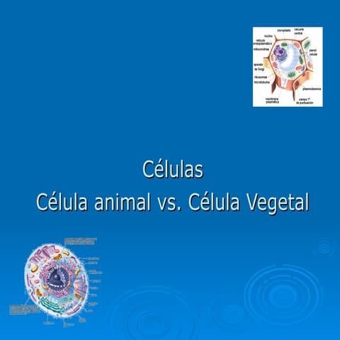 Celulas vegetal y animal