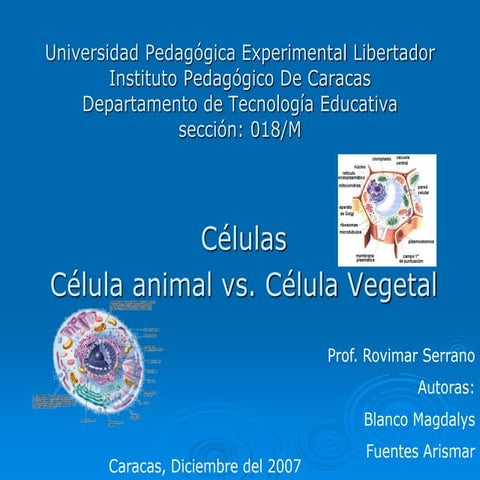 Celulas vegetal y animal para descarga.ppt