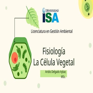 Presentación acerca de Celulas y tejidos vegetales.pptx