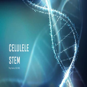 Celulele stem | PPTX