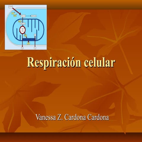 Respiración celular