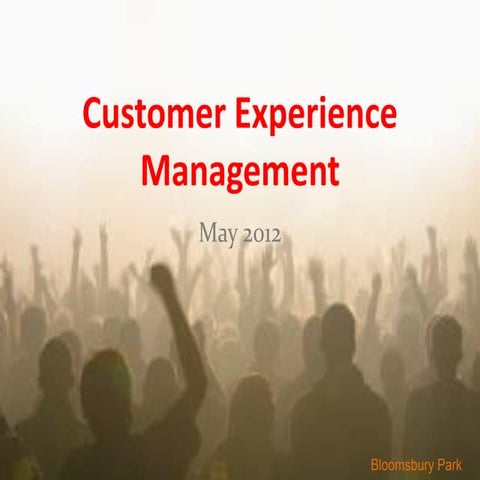 Customer Experience Management | PDF