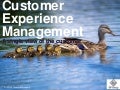CEM the true version - one view of the customer