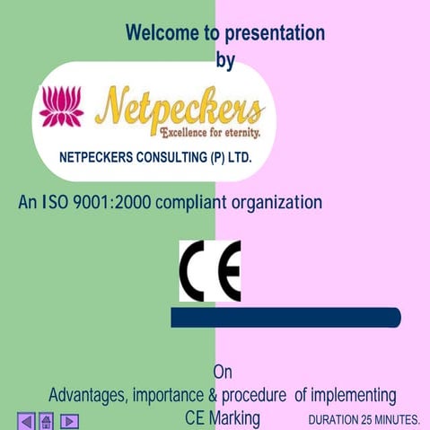 Consulting & training to achieve Ce marking by netpeckers consulting