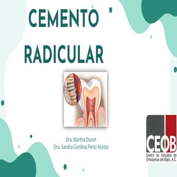 CEMENTO RADICULAR EN ODONTOLOGIA E HISTOLOGIA | PDF