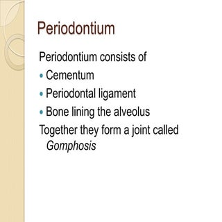 Cementum