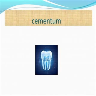 Cementum 