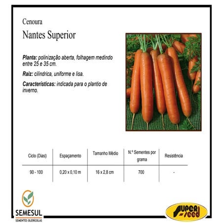 Cenoura Brasilia Alta Selecao | PDF