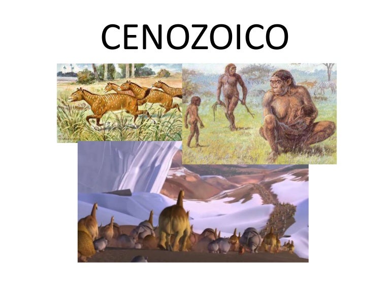 Resultado de imagen para cenozoico