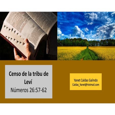 Censo de la tribu de Leví