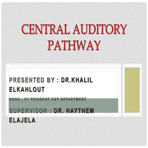 central auditory pathway.pptx