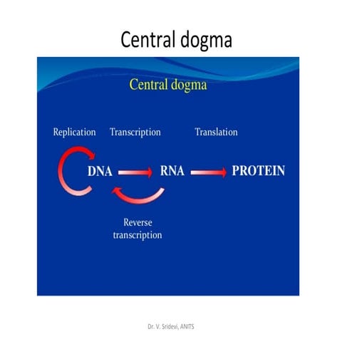 Central dogma.pdf a biology topic by rakesh