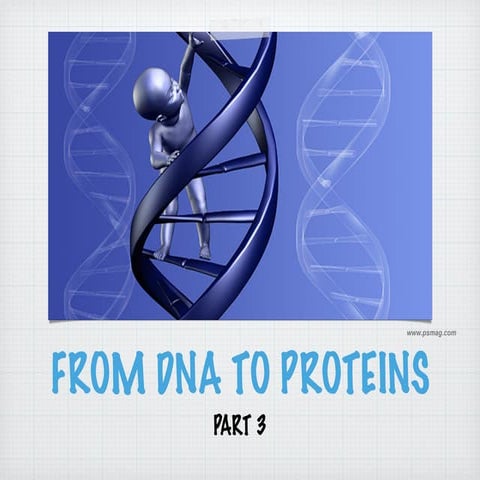 Lecture on DNA to Proteins (The Central Dogma of Molecular Biology)