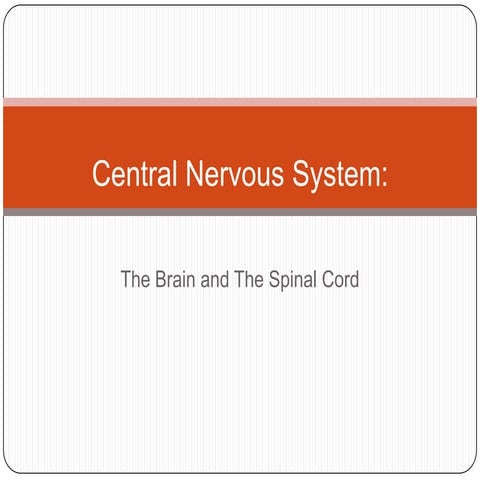 Central nervous system