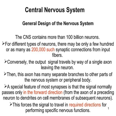 Central nervous system