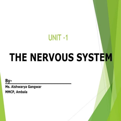CENTRAL NERVOUS SYSTEM.pptx