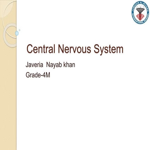 Central Nervous System.pptx