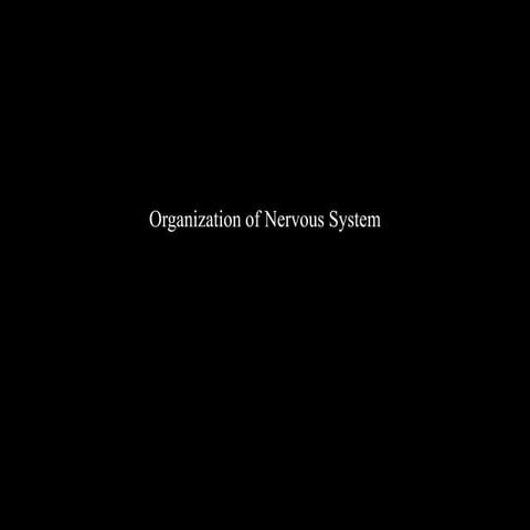 central nervous system.ppt