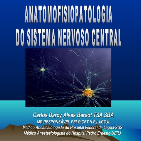 Central Nervous System Physiology