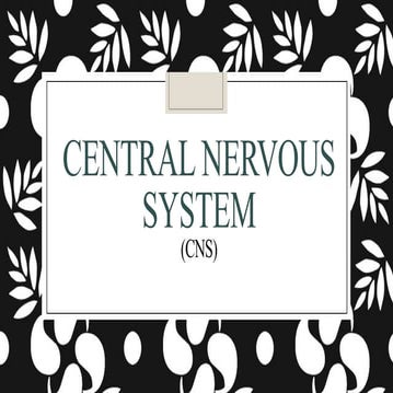 CENTRAL NERVOUS SYSTEM (1) (1).pdf
