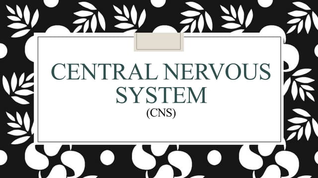 Central Nervous System 1 1 Pdf Central Nervous System 1 1 Pdf