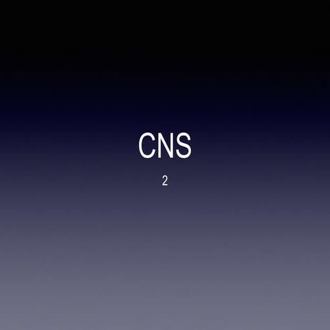 Central nervous system 2.pptx the most accurate