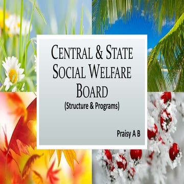 Central & State Social Welfare Board