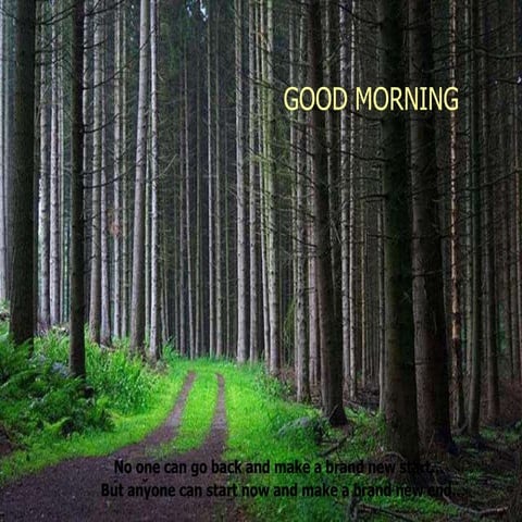 CENTRIC RELATION.pptx