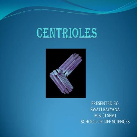 Centrioles