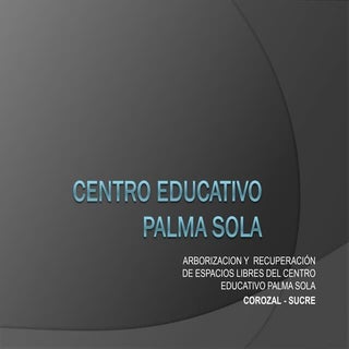 Centro educativo palma sola