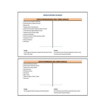 Centros de costo y modelo contable cultivos temporales Oscar Melgar